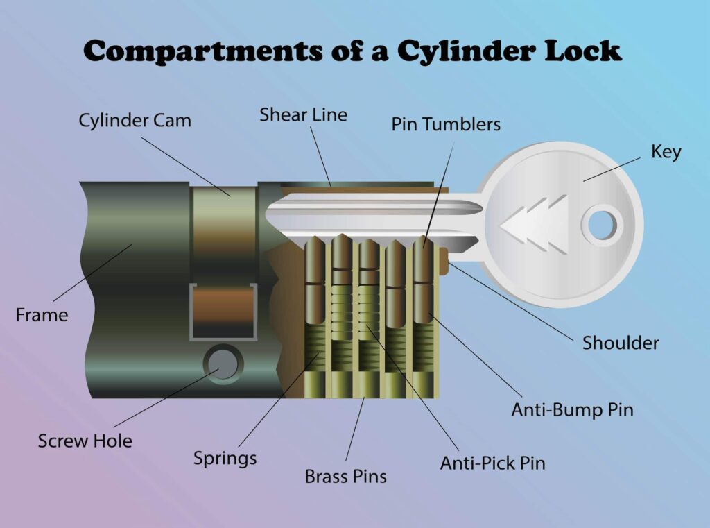 compartments of a cylinder lock (1)